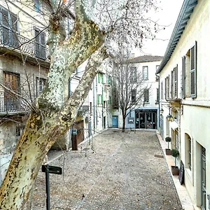 Studios Entre Le Pont D' Et Le Palais Des Papes Apartamento
